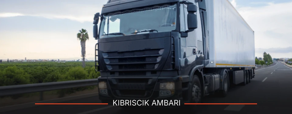 Kıbrıscık Ambarı