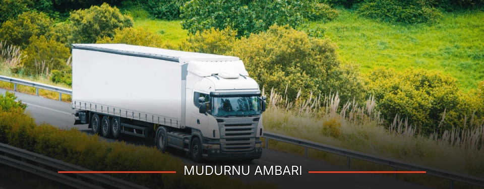Mudurnu Ambarı